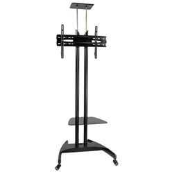 Professional mobile tv trolley with camera holder